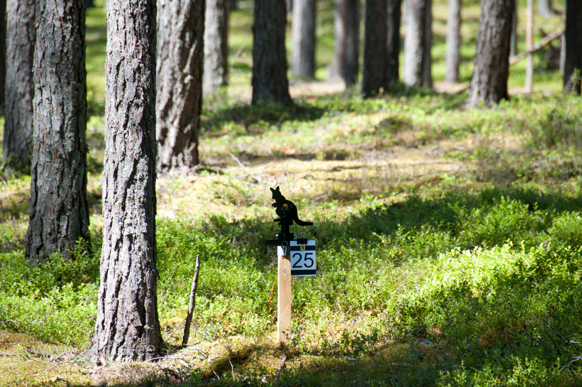 PFTK  in Joulumae (107)